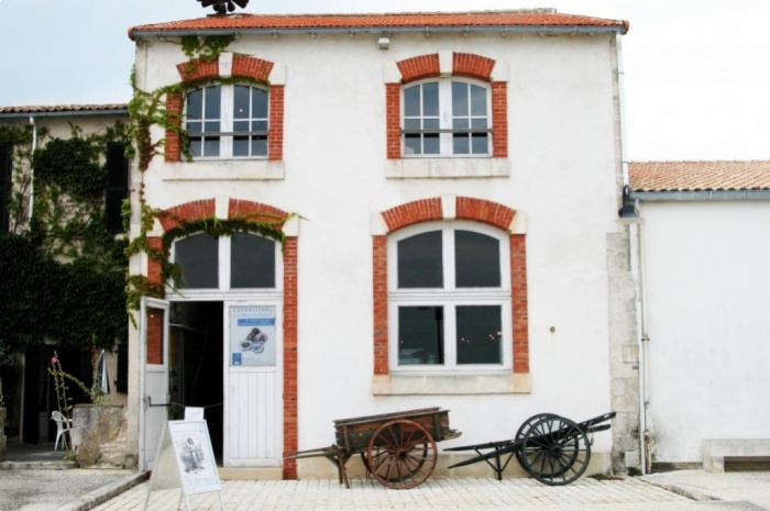 Musée du Platin