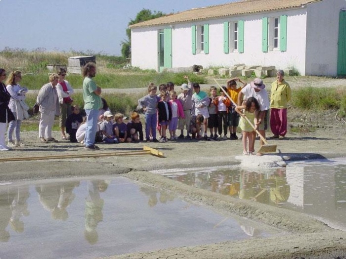 Ecomusée du marais salant de l'île de Ré